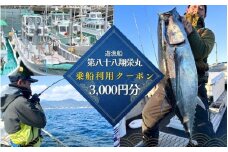 遊漁船「第八十八翔栄丸」 乗船利用クーポン 3000円分 / 釣り 海釣り 船釣り 釣り船 魚釣り フィッシング fishing 漁船 体験 チケット クーポン ジギング ジギング船 タイラバ トンジキ イカメタル アジング サビキ釣り イカ釣り キャスティング 三重県 紀宝町 【sem001】