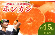 【先行予約】訳あり 石本果樹園の美味しい ポンカン 約4.5kg 20～25玉【1月初旬から２月初旬までに順次発送】 / みかん フルーツ くだもの 果物 ポンカン ワケあり 家庭用