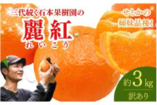 【先行予約】【訳あり】石本果樹園の美味しい麗紅（レイコウ）約3kg 18～20玉前後【2月中旬から3月中旬までに順次発送】 / みかん フルーツ くだもの 果物 れいこう