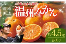 【先行予約】【訳あり】石本果樹園の美味しい温州みかん 約4.5kg 35～40玉前後【11月初旬から1月下旬までに順次発送】 / みかん フルーツ くだもの 果物 温州みかん