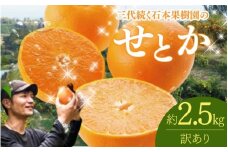 【先行予約】【訳あり】石本果樹園の美味しいせとか 約2.5kg 9～15玉【2月中旬から3月中旬までに順次発送】 / みかん フルーツ くだもの 果物 せとか 大トロ トロ