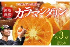 【先行予約】【訳あり】石本果樹園の美味しいカラ・マンダリン 約3kg入り(20～25玉前後)【2025年4月中旬から5月中旬までに順次発送】 / みかん フルーツ くだもの 果物 先行予約 カラマンダリン
