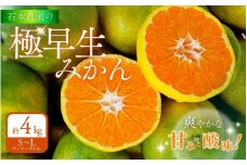 石本農園の 極早生みかん S～Lサイズいずれか 約4kg【9月中旬から10月下旬までに順次発送】/ みかん ミカン 蜜柑 温州