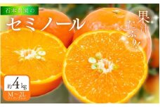 石本農園 の セミノール Ｍ～2Lいずれか 約4kg【2026年3月下旬から4月上旬までに順次発送】/ 柑橘 セミノール 紀宝町