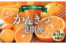 【全3回】 柑橘 定期便 石本果樹園 旬の柑橘をお届け！ /  フルーツ 果物 くだもの 柑橘 フルーツ定期便 くだもの定期便 定期便 みかん ミカン 温州みかん せとか カラマンダリン  産地直送 旬 人気 おすすめ 三重県 紀宝町
