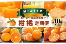 【全10回】 柑橘 定期便 石本果樹園 店主おすすめの柑橘セットをお届け！ /  フルーツ 果物 くだもの 柑橘 フルーツ定期便 くだもの定期便 定期便 フルーツセット くだものセット みかん ミカン 温州みかん 不知火 せとか セミノール ポンカン カラマンダリン 甘夏 清見 オレンジ ジュース みかんジュース 果実飲料 産地直送 旬 人気 おすすめ 詰め合わせ お楽しみ 三重県 紀宝町