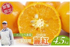 【数量限定】ご家庭用 たにぐち農園の麗紅 (れいこう)  約4.5㎏ Lサイズ以上 みかん ミカン 柑橘 フルーツ 果物 くだもの 家庭用 れいこう オレンジ 旬 産地直送 農家直送 【2026年2月より順次発送予定】