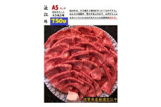 厳選近江牛すき焼き＆しゃぶしゃぶ1,500g