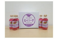むべソーダ詰合せ（12本入）