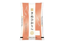 令和4年産 滋賀県産 きぬひかり  10kg（5kg×2袋）