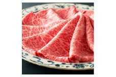近江牛 すき焼き・しゃぶしゃぶ用 霜降り・赤身 相盛 500ｇ