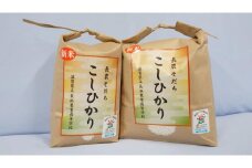 【9月発送】長浜農業高校 お米 （ コシヒカリ ）8kg