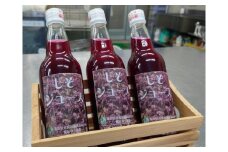 【8月発送】長浜農業高校 しそジュース 360ml × 3本