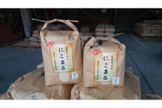 【11月発送】長浜農業高校 お米 （ にこまる ） 8kg