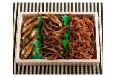 湖魚佃煮詰合せ