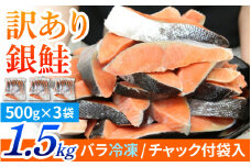 【訳あり品】塩銀鮭 切身 1.5kg(500g×3パック) [BM03] | 冷凍鮭 鮭切り身 塩シャケ 塩鮭 甘口 甘塩 サケ
