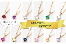 【カタログギフト】ふるさと納税限定｜10金ダイヤモンドネックレス / カタログK10-01 [AM299] / 金 ゴールド ジュエリー アクセサリー カタログ ギフト プレゼント レディース シンプル 定番