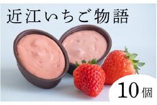 近江いちご物語10個入り[K009] / スイーツ ケーキ お菓子 洋菓子 冷凍 いちご イチゴ 苺 かおり野 章姫 みおしずく スフレ おやつ プレゼント クリスマス 誕生日 お祝い 記念日 滋賀県 大津市 贈答 ギフト
