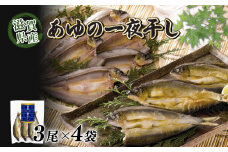 滋賀県産 あゆの一夜干し 3尾×4袋 干物 一夜干し あゆ 鮎 鮎の一夜干し 川魚 魚 国産 琵琶湖 滋賀 彦根 あゆの店きむら