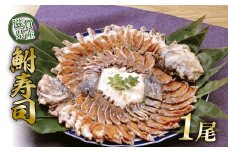 びわ湖産天然 鮒寿し 大サイズ フナ 鮒ずし 鮒寿司 鮒寿し 鮒鮨 ふなずし おつまみ 晩酌 肴 川魚 湖魚 魚 国産 天然 琵琶湖 高滋養食品 栄養 発酵食品 乳酸菌 滋賀 彦根 あゆの店きむら
