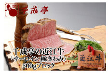 千成亭 近江牛 ローストビーフ サーロイン 極(きわみ) 500g ブロック 近江牛ローストビーフ 近江牛サーロイン ソース ブロック肉 肉 牛肉 国産 冷凍 近江牛 黒毛和牛 送料無料 ブランド牛 日本三大和牛 近江牛 国産牛 クリスマス お歳暮 ギフト プレゼント 母の日 父の日 おすすめ 人気 彦根 滋賀