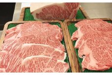 近江牛 ロースステーキ 約 200g 10枚 サシ入り ステーキ 黒毛和牛 和牛 牛 高級 日本三大和牛 ブランド牛 牛肉 牛 肉 贈答 贈り物 ギフト 200g 10枚 200 10 滋賀 彦根