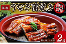炭火焼き 国産 うなぎ蒲焼き 2尾入 (135g以上×2) うなぎ 鰻 ウナギ 小分け 2尾 炭火焼 炭火 蒲焼 蒲焼き うなぎ蒲焼 うなぎの蒲焼き うなぎ国産 土用丑の日 土用の丑の日 おすすめ 母の日 父の日 母の日ギフト 父の日ギフト ギフト プレゼント 滋賀 彦根 あゆの店きむら うなぎや源内