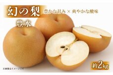 【先行受付 数量限定】 彦根梨 豊水 約 2kg 梨 2025年9月発送予定 豊水梨 和梨 なし フルーツ 果物 ギフト プレゼント 贈り物 贈答品 お取り寄せ 限定品 滋賀 彦根
