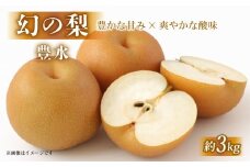 【先行受付 数量限定】 彦根梨 豊水 約 3kg 梨 2025年9月発送予定 豊水梨 和梨 なし フルーツ 果物 ギフト プレゼント 贈り物 贈答品 お取り寄せ 限定品 滋賀 彦根