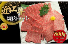 近江牛A5ランク焼肉セット800g（肩ロース400g、モモ400g）近江牛 焼肉用 焼肉、モモ肉、近江牛 焼肉用 牛肉 焼肉用 牛肉、肩ロース 黒毛和牛 焼肉セット 和牛 近江牛 滋賀 和牛 牛肉 モモ 焼き肉 彦根 ひこね 和牛 A4 A5 国産牛 牛肉 黒毛和牛 モモ肉 霜降り肉 焼肉 送料無料
