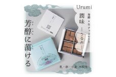 発酵ヴィーガン生チョコレート Urumi  2箱 セット  うるみ 生チョコレート チョコレート 生チョコ 乳製品不使用 ラクトースフリー ビーガン ベジタリアン グルテンフリー オーガニック 酒粕  ミルク チョコレート 生ちょこ 濃厚 スイーツ デザート 菓子 ギフト BOX ボックス 贈り物 お土産 プレゼント 冷蔵 滋賀 彦根