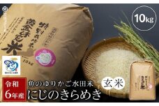 【数量限定】令和6年産【湖魚と共に育てたお米】魚のゆりかご水田米「にじのきらめき」玄米10kg【柴田ファーム】お米 玄米 近江米 米 にじのきらめき こめ コメ 10キロ 彦根 ひこね 滋賀 10kg おすすめ おこめ