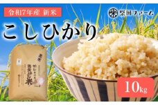 【数量限定 先行予約 令和7年産】 環境こだわり栽培 新米 こしひかり 10kg 玄米 米 こめ 10 コシヒカリ 令和7年 7年 10月 順次発送 滋賀 彦根