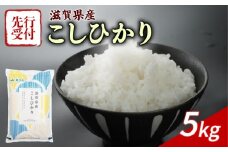 【令和7年産先行受付】 こしひかり 5kg 令和7年産 新米 米 精米 こめ コメ お米 ご飯 米 コシヒカリ 先行受付 5キロ 令和7年 滋賀 彦根