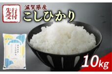 【令和7年産先行受付】 こしひかり 10kg 令和7年産 5kg×2袋 新米 米 精米 こめ コメ お米 ご飯 米 コシヒカリ 10キロ 先行受付 令和7年 滋賀 彦根