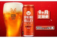 キリン スプリングバレー 豊潤ラガー 496 500ml×24本 9ヶ月定期便 キリンビール きりん 麒麟 KIRIN 麦酒 ケース 缶 缶ビール クラフトビール お酒 酒 さけ アルコール beer 500ml 24本 500 24 9ヵ月 定期便 BBQ バーベキュー 晩酌 宅飲み 家飲み 飲み会 定番 高評価 キャンプ パーティー ギフト 贈り物 贈答 誕生日プレゼントお歳暮 滋賀 彦根