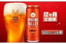 キリン スプリングバレー 豊潤ラガー 496 500ml×24本 12ヶ月定期便 500ml 24本 キリンビール きりん 麒麟 KIRIN 麦酒 缶 缶ビール クラフトビール お酒 酒 さけ アルコール beer 500ml 24本 500 24 12ヵ月 定期便 BBQ バーベキュー 晩酌 飲み会 定番 高評価 キャンプ パーティー ギフト 贈り物 贈答 プレゼント お歳暮 滋賀 彦根