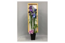 フラワーアレンジメント 花しょうぶ デザイン vol.5 造花 現代の名工 フラワーデザイナー 河合透プロデュース アーティフィシャル フラワー インテリア 和 洋 彦根市の花  はなしょうぶ 滋賀 彦根