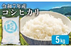 【先行予約 令和7年産】 新米 こしひかり 5kg 精米 米 コメ お米 白米 ご飯 コシヒカリ 5 1袋 令和7年 10月 順次発送 滋賀 彦根