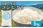 ※画像はイメージです。