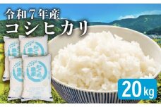 【先行予約 令和7年産】 新米 こしひかり 20kg 精米 米 コメ お米 白米 ご飯 コシヒカリ 5kg 4袋 令和7年 10月 順次発送 滋賀 彦根