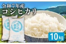 【先行予約 令和7年産】 新米 こしひかり 10kg 精米 米 コメ お米 白米 ご飯 コシヒカリ 5kg 2袋 令和7年 10月 順次発送 滋賀 彦根