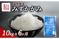 【令和7年産先行受付】 みずかがみ 10kg 6ヶ月定期便 令和7年産 新米 米 こめ ご飯 米 先行受付 定期便 6回定期便 6か月定期便 6回 6か月 先行受付 10キロ 令和7年 滋賀 彦根