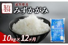【令和7年産先行受付】 みずかがみ 10kg 12ヶ月定期便 令和7年産 新米 米 こめ ご飯 米 先行受付 定期便 12回定期便 12か月定期便 12回 12か月 先行受付 10キロ 令和7年 滋賀 彦根