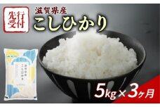 【令和7年産先行受付】 こしひかり 5kg 3回定期便 令和7年産 定期便 新米 米 精米 こめ コメ お米 ご飯 米 コシヒカリ 先行受付 米定期便 3か月定期便 3ヶ月定期便 3回 3ヶ月 3か月 滋賀 彦根