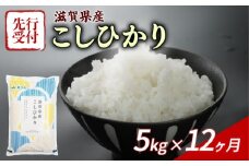 【令和7年産先行受付】 こしひかり 5kg 12回定期便 令和7年産 定期便 新米 米 精米 こめ コメ お米 ご飯 米 コシヒカリ 先行受付 米定期便 12か月定期便 12ヶ月定期便 12回 12ヶ月 12か月 滋賀 彦根