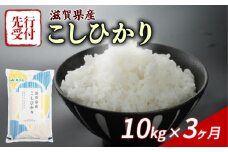 【令和7年産先行受付】 こしひかり 10kg 3回定期便 令和7年産 定期便 新米 米 精米 こめ コメ お米 ご飯 米 コシヒカリ 先行受付 米定期便 3か月定期便 3ヶ月定期便 3回 3ヶ月 3か月 滋賀 彦根