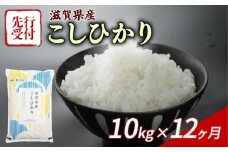 【令和7年産先行受付】 こしひかり 10kg 12回定期便 令和7年産 定期便 新米 米 精米 こめ コメ お米 ご飯 米 コシヒカリ 先行受付 米定期便 12か月定期便 12ヶ月定期便 12回 12ヶ月 12か月 滋賀 彦根