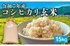 【先行予約 令和7年産】新米 コシヒカリ 玄米 15kg 米 お米 ご飯 15kg 1袋 令和7年 こしひかり 10月 順次発送 滋賀 彦根