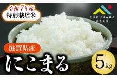 特別栽培米 にこまる 5kg 令和7年産 先行受付 白米 新米 米 精米 こめ コメ お米 ご飯 米 先行受付 5キロ 令和7年 2025年11月下旬より発送開始 滋賀 彦根
